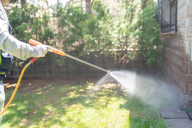 Best Organic or Eco-Friendly Pest Control  in Birch Run, MI